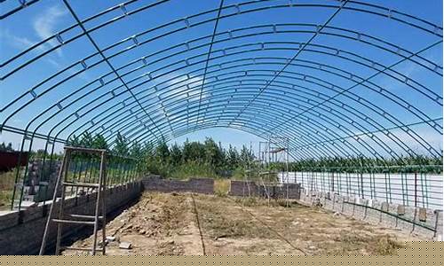 蔬菜大棚材料厂家在哪里(蔬菜大棚材料批发)_https://www.jnskb.com_装修流程_第1张