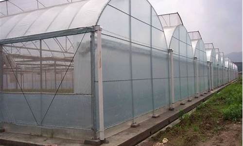 钢结构温室大棚造价多少钱一平方(钢架结构温室大棚)_https://www.jnskb.com_装修流程_第1张