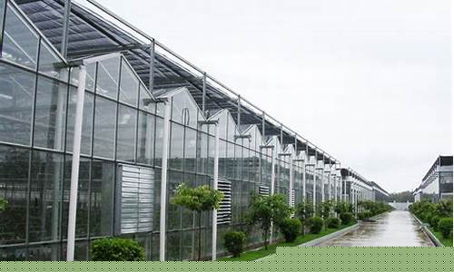 玻璃温室大棚施工方案设计(玻璃温室大棚施工方案设计怎么写)_https://www.jnskb.com_装修流程_第1张
