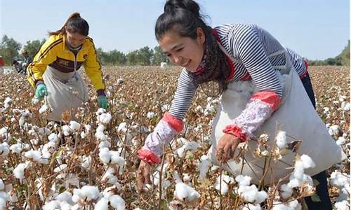 洪灾棉花期货(棉花期货爆仓)_https://www.jnskb.com_装修公司_第1张