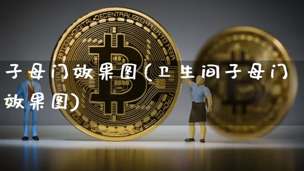 子母门效果图(卫生间子母门效果图)_https://www.jnskb.com_装修公司_第1张