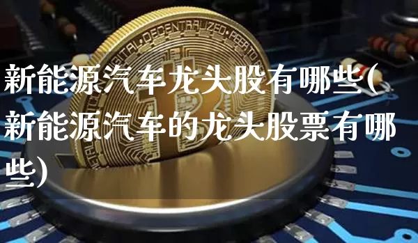 新能源汽车龙头股有哪些(新能源汽车的龙头股票有哪些)_https://www.jnskb.com_装修公司_第1张