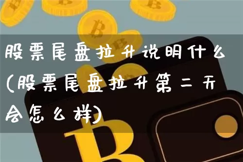 股票尾盘拉升说明什么(股票尾盘拉升第二天会怎么样)_https://www.jnskb.com_设计报价_第1张