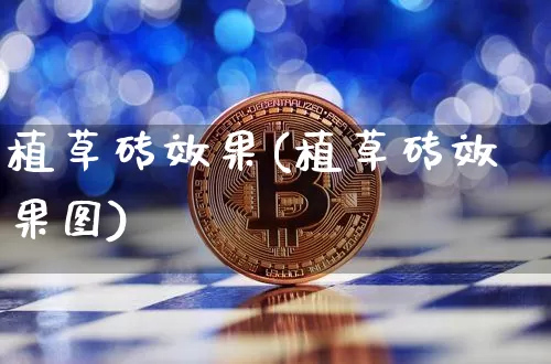 植草砖效果(植草砖效果图)_https://www.jnskb.com_装修流程_第1张