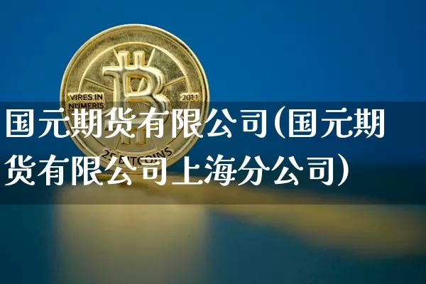 国元期货有限公司(国元期货有限公司上海分公司)_https://www.jnskb.com_效果图_第1张