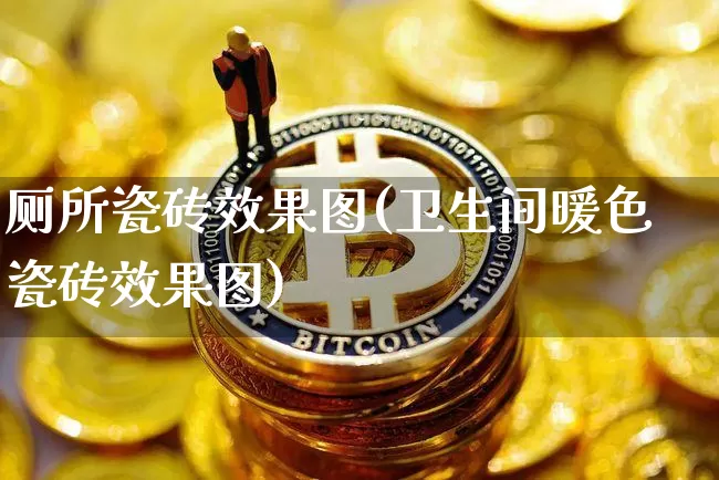厕所瓷砖效果图(卫生间暖色瓷砖效果图)_https://www.jnskb.com_装修流程_第1张