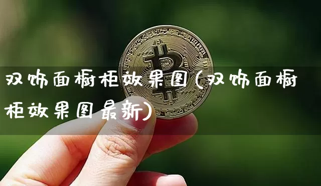 双饰面橱柜效果图(双饰面橱柜效果图最新)_https://www.jnskb.com_装修流程_第1张