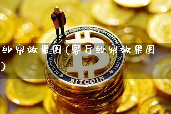 纱帘效果图(客厅纱帘效果图)_https://www.jnskb.com_设计报价_第1张