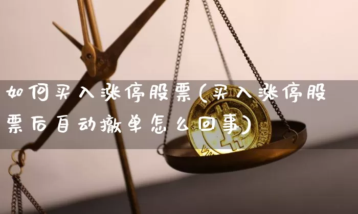 如何买入涨停股票(买入涨停股票后自动撤单怎么回事)_https://www.jnskb.com_设计报价_第1张