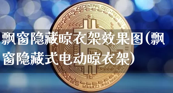 飘窗隐藏晾衣架效果图(飘窗隐藏式电动晾衣架)_https://www.jnskb.com_装修公司_第1张