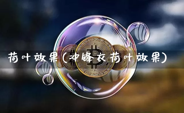 荷叶效果(冲锋衣荷叶效果)_https://www.jnskb.com_设计报价_第1张