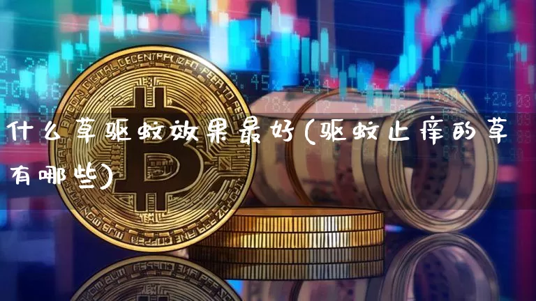 什么草驱蚊效果最好(驱蚊止痒的草有哪些)_https://www.jnskb.com_设计报价_第1张