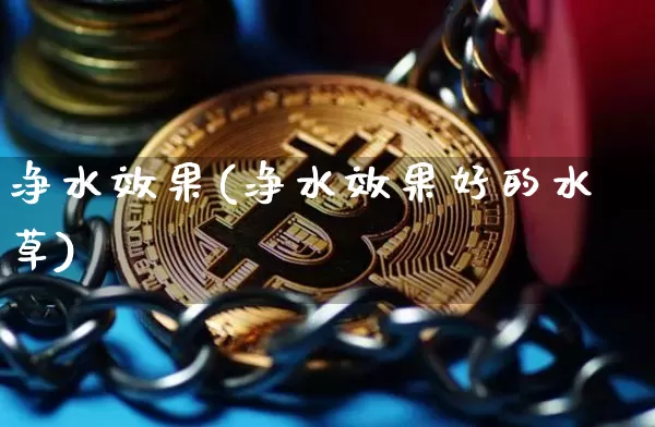 净水效果(净水效果好的水草)_https://www.jnskb.com_设计报价_第1张