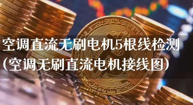 空调直流无刷电机5根线检测(空调无刷直流电机接线图)_https://www.jnskb.com_效果图_第1张