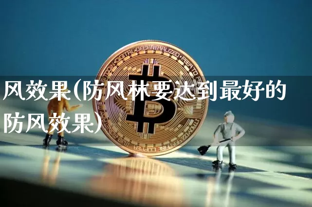 风效果(防风林要达到最好的防风效果)_https://www.jnskb.com_设计报价_第1张