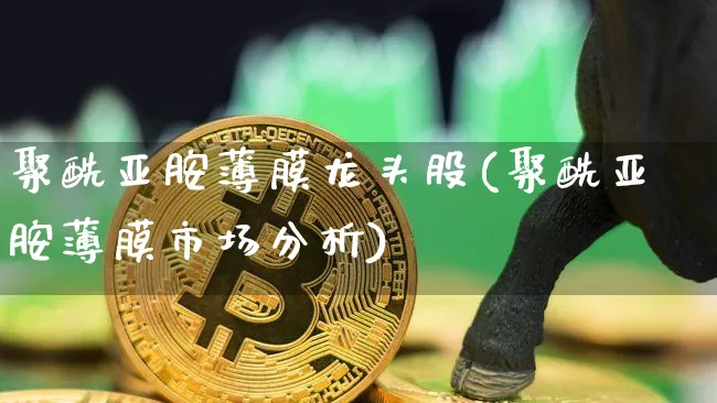 聚酰亚胺薄膜龙头股(聚酰亚胺薄膜市场分析)_https://www.jnskb.com_装修公司_第1张