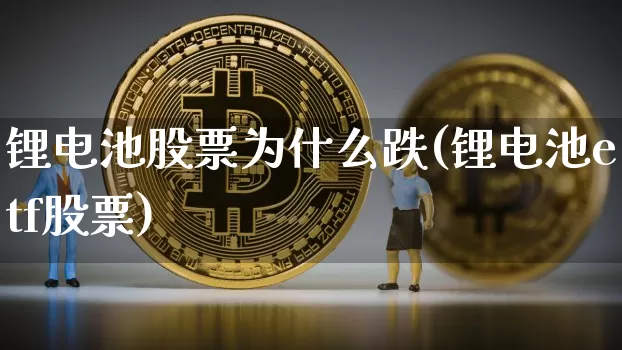 锂电池股票为什么跌(锂电池etf股票)_https://www.jnskb.com_装修流程_第1张