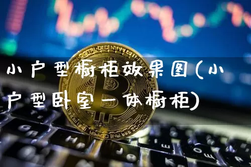 小户型橱柜效果图(小户型卧室一体橱柜)_https://www.jnskb.com_装修流程_第1张