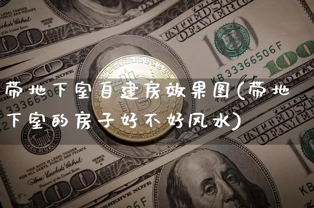带地下室自建房效果图(带地下室的房子好不好风水)_https://www.jnskb.com_装修流程_第1张
