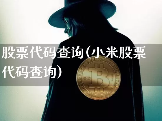 股票代码查询(小米股票代码查询)_https://www.jnskb.com_装修公司_第1张