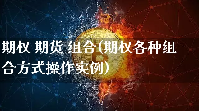 期权 期货 组合(期权各种组合方式操作实例)_https://www.jnskb.com_效果图_第1张