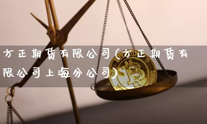 方正期货有限公司(方正期货有限公司上海分公司)_https://www.jnskb.com_设计报价_第1张