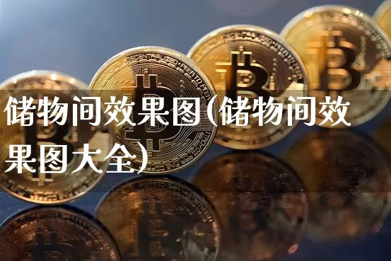 储物间效果图(储物间效果图大全)_https://www.jnskb.com_设计报价_第1张