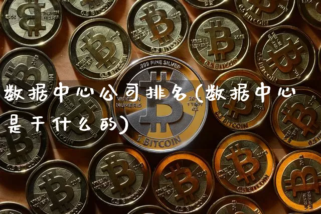 数据中心公司排名(数据中心是干什么的)_https://www.jnskb.com_装修公司_第1张