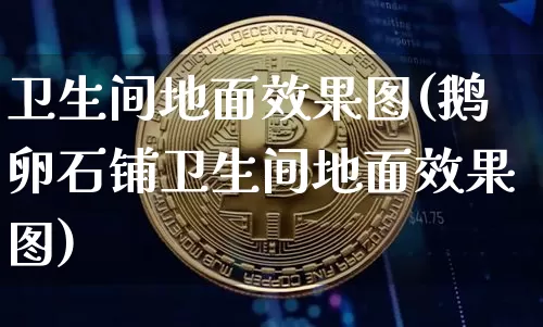 卫生间地面效果图(鹅卵石铺卫生间地面效果图)_https://www.jnskb.com_设计报价_第1张