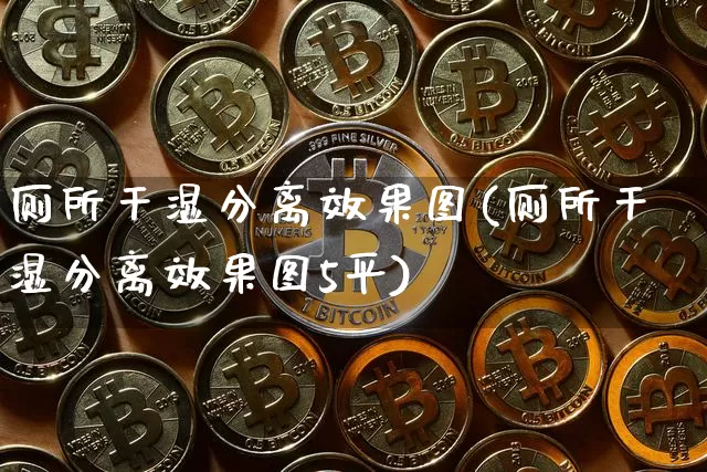 厕所干湿分离效果图(厕所干湿分离效果图5平)_https://www.jnskb.com_装修流程_第1张