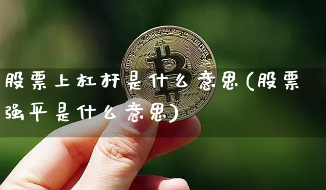 股票上杠杆是什么意思(股票强平是什么意思)_https://www.jnskb.com_装修流程_第1张
