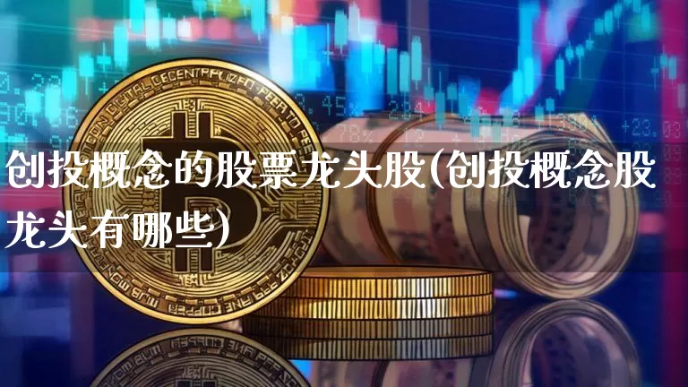创投概念的股票龙头股(创投概念股龙头有哪些)_https://www.jnskb.com_装修流程_第1张