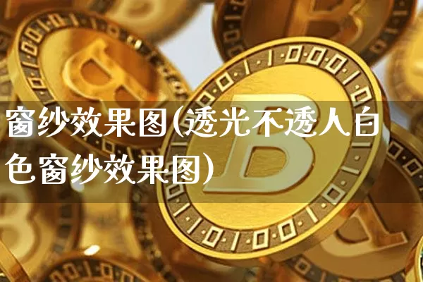 窗纱效果图(透光不透人白色窗纱效果图)_https://www.jnskb.com_效果图_第1张