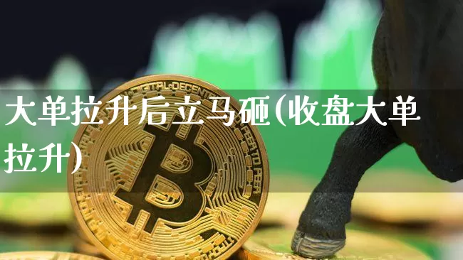 大单拉升后立马砸(收盘大单拉升)_https://www.jnskb.com_装修流程_第1张