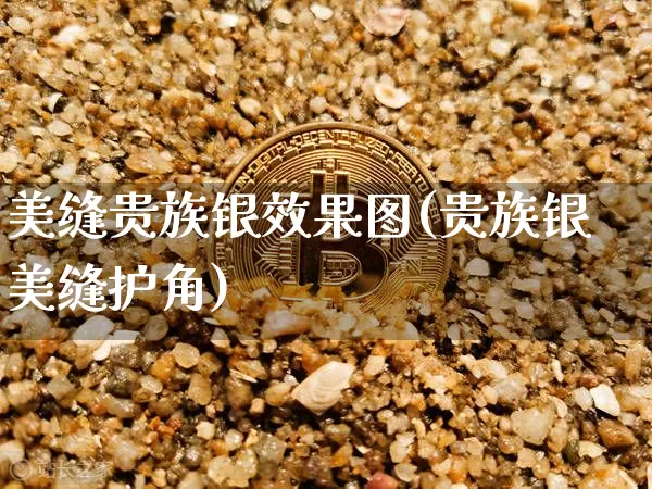 美缝贵族银效果图(贵族银美缝护角)_https://www.jnskb.com_装修流程_第1张