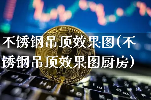 不锈钢吊顶效果图(不锈钢吊顶效果图厨房)_https://www.jnskb.com_装修流程_第1张