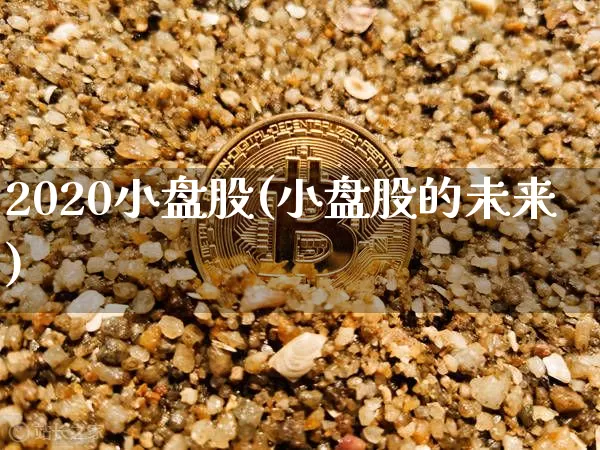 2020小盘股(小盘股的未来)_https://www.jnskb.com_效果图_第1张