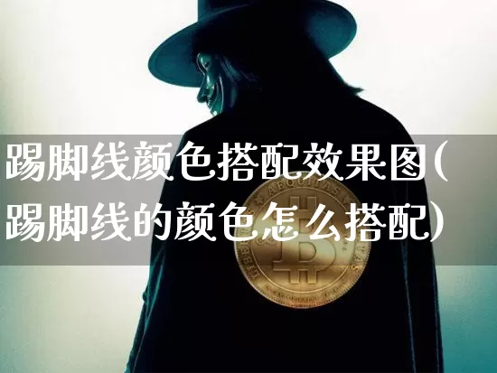 踢脚线颜色搭配效果图(踢脚线的颜色怎么搭配)_https://www.jnskb.com_装修流程_第1张