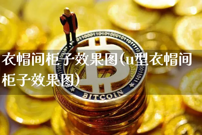 衣帽间柜子效果图(u型衣帽间柜子效果图)_https://www.jnskb.com_效果图_第1张