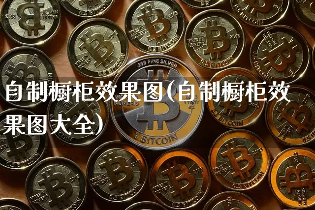 自制橱柜效果图(自制橱柜效果图大全)_https://www.jnskb.com_设计报价_第1张