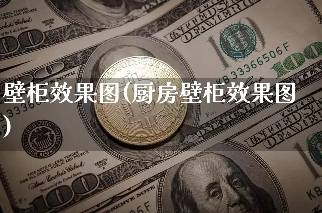 壁柜效果图(厨房壁柜效果图)_https://www.jnskb.com_效果图_第1张