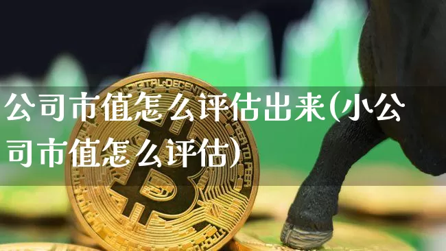 公司市值怎么评估出来(小公司市值怎么评估)_https://www.jnskb.com_装修公司_第1张