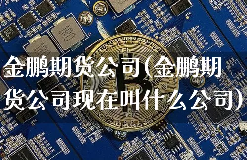 金鹏期货公司(金鹏期货公司现在叫什么公司)_https://www.jnskb.com_装修公司_第1张