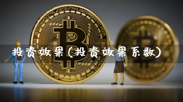 投资效果(投资效果系数)_https://www.jnskb.com_装修流程_第1张