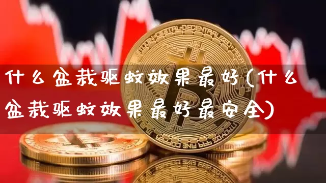 什么盆栽驱蚊效果最好(什么盆栽驱蚊效果最好最安全)_https://www.jnskb.com_设计报价_第1张