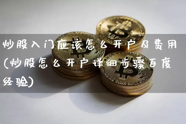 炒股入门应该怎么开户及费用(炒股怎么开户详细步骤百度经验)_https://www.jnskb.com_装修公司_第1张