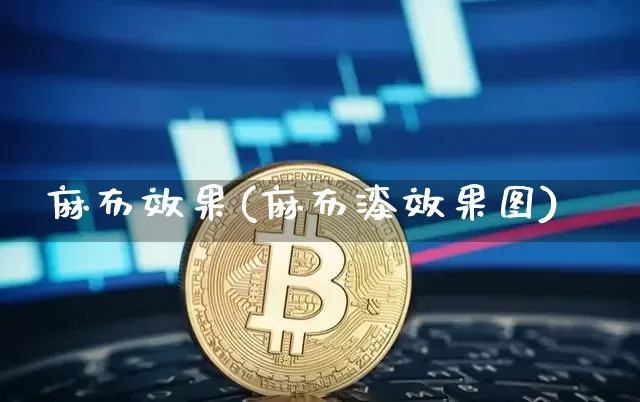 麻布效果(麻布漆效果图)_https://www.jnskb.com_设计报价_第1张