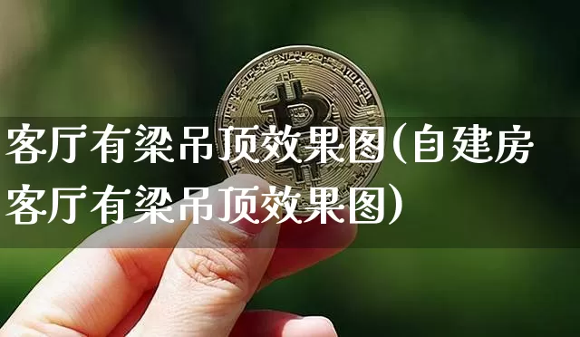 客厅有梁吊顶效果图(自建房客厅有梁吊顶效果图)_https://www.jnskb.com_装修流程_第1张