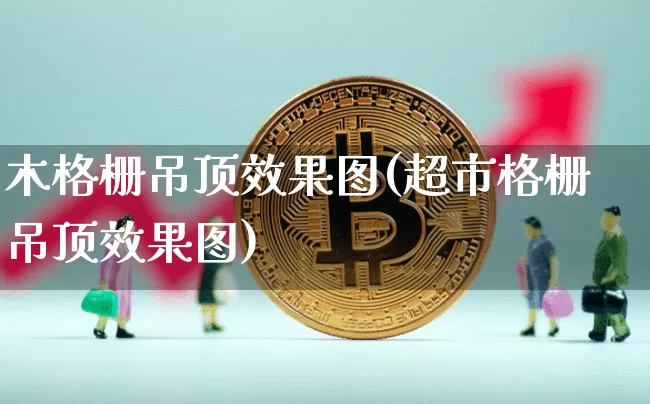 木格栅吊顶效果图(超市格栅吊顶效果图)_https://www.jnskb.com_装修流程_第1张
