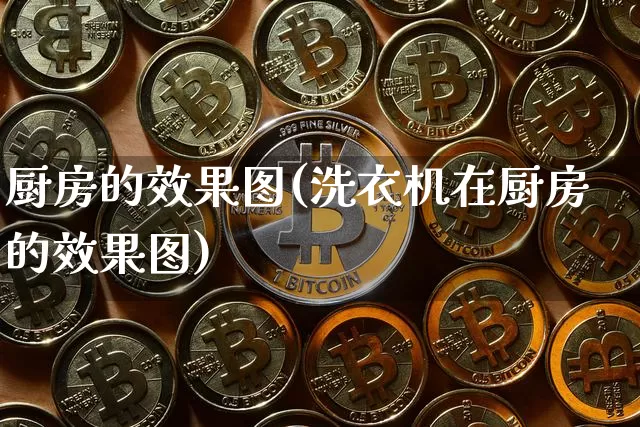 厨房的效果图(洗衣机在厨房的效果图)_https://www.jnskb.com_装修流程_第1张